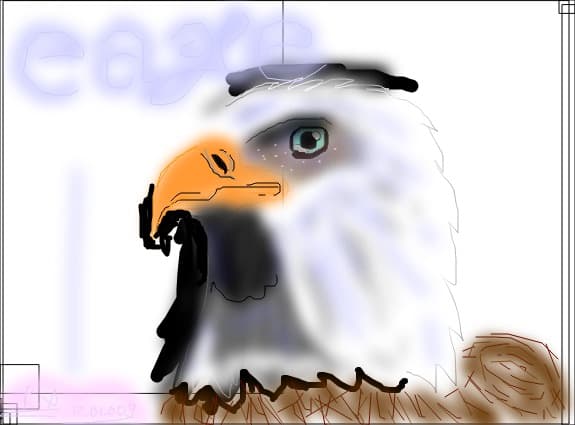eagle ,vultur