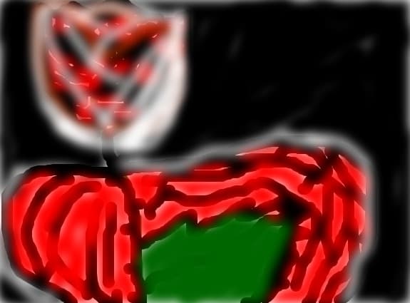 Black &amp; Red Rose