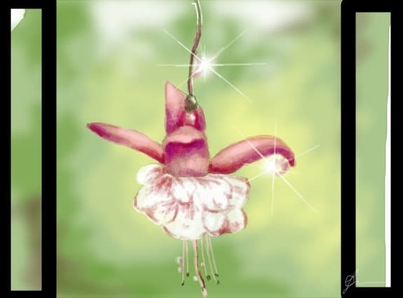 Fuchsia...