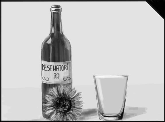 ...pentru VARCOCOLA...