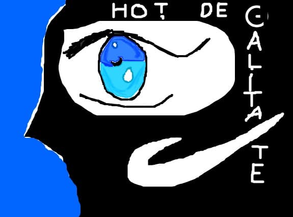 un hot de calitate