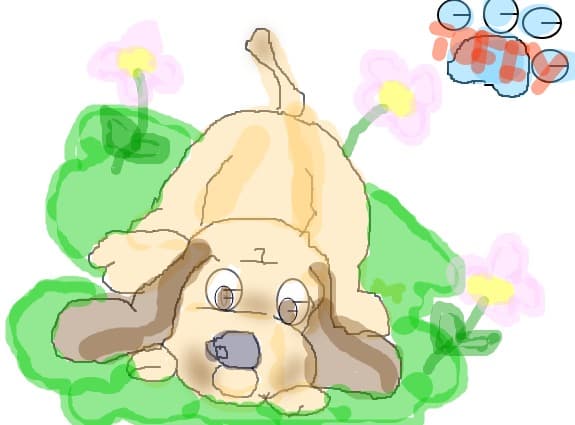 toffy