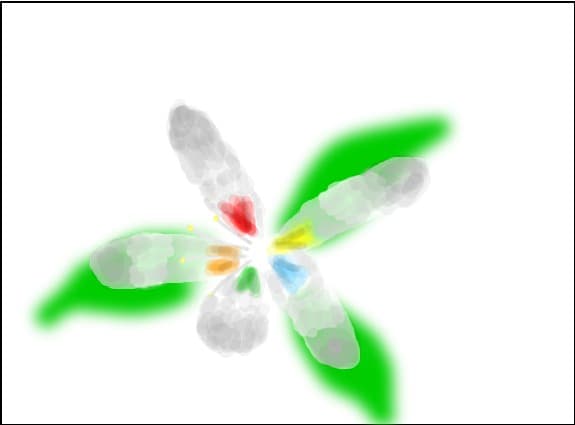 A flower for Sandrihanna