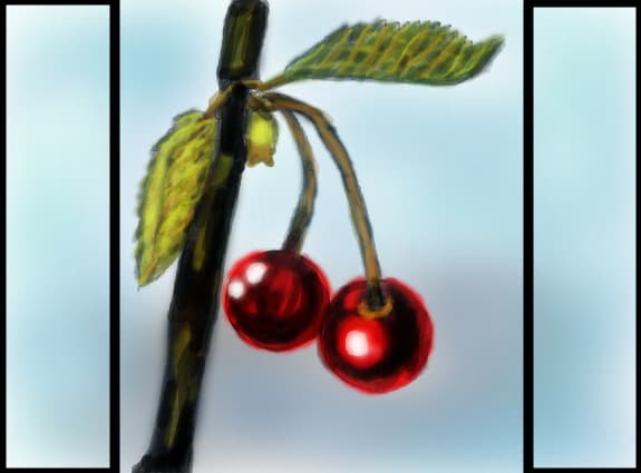 ciresica sau visinica