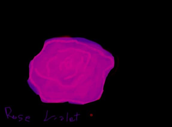 Violet Rose