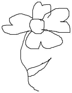 o floare