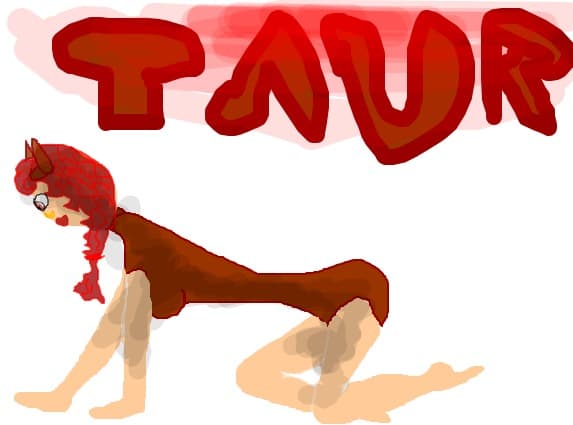Desen 67104 continuat:taur
