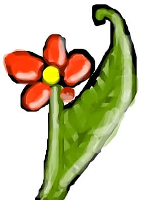 O floare