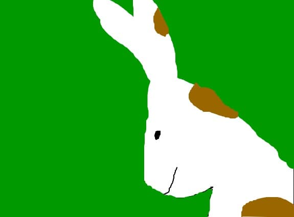 bunny