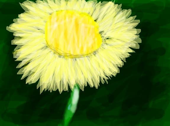 pentru toti desenatoriii o floare cu inima