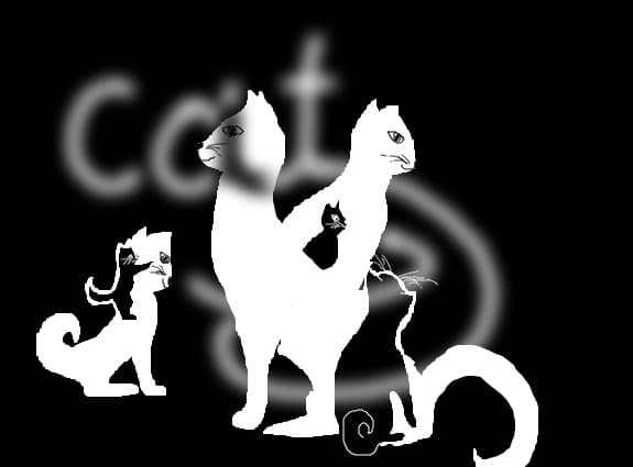 Kittys
