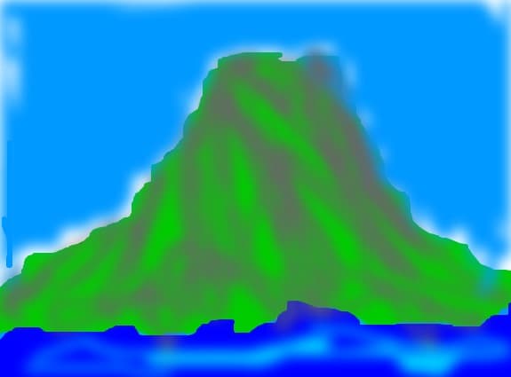 flori