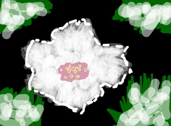 floare