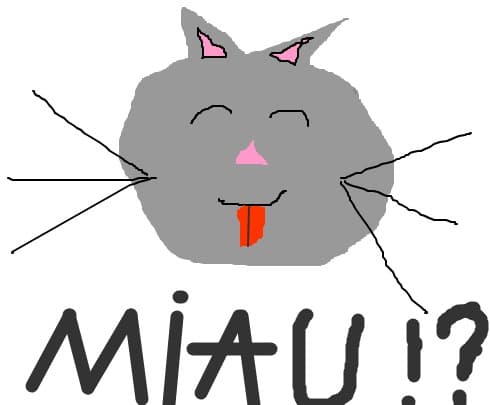 miau miau