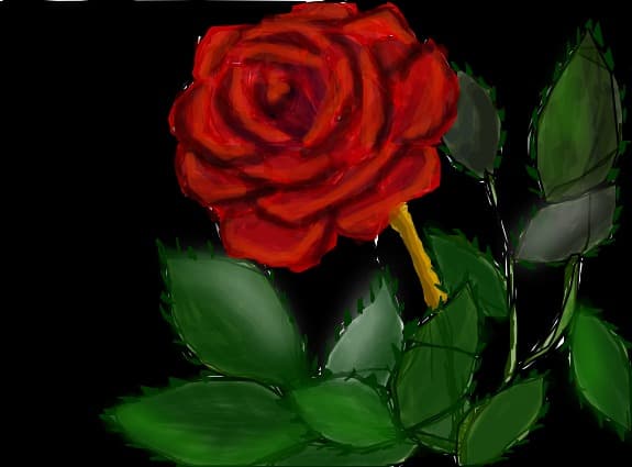just a rose