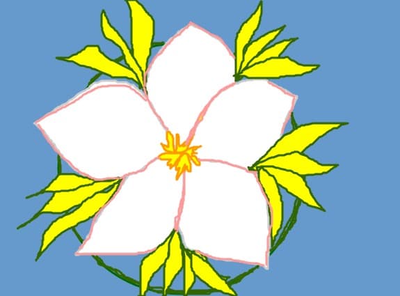 floare