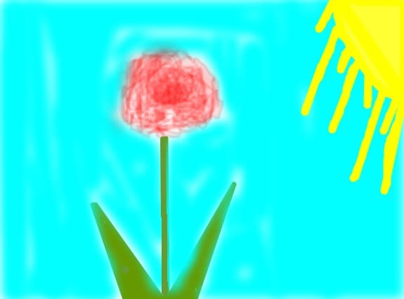 o floare