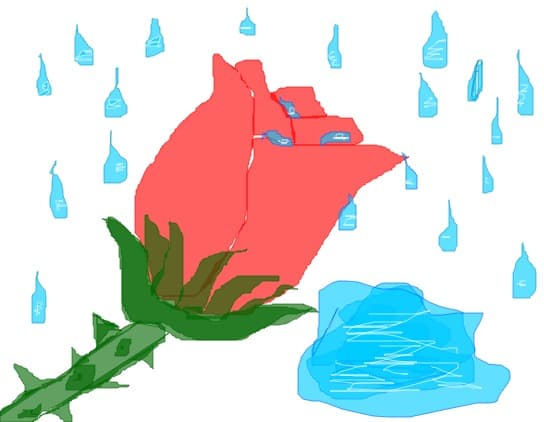 trandafir