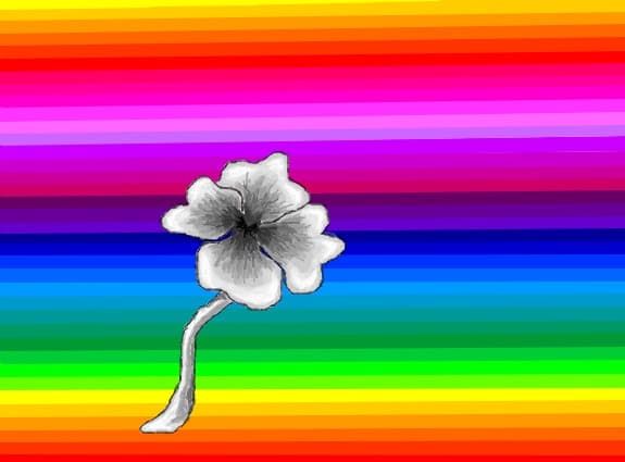 ...o floare...