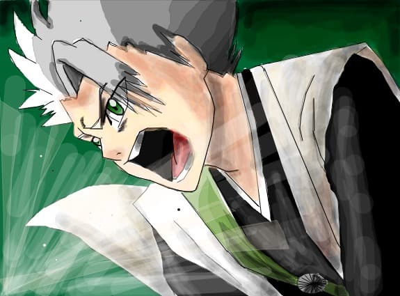 hitsugaya toshiro tot din bleach :D
