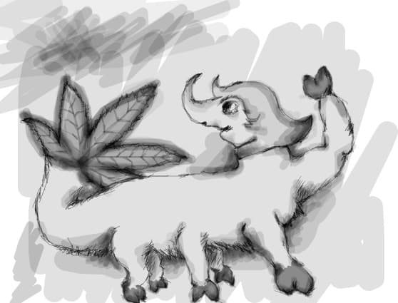 canabis animal