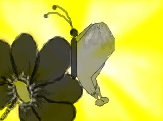 Un fluture si o floare