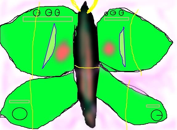fluture ciudat