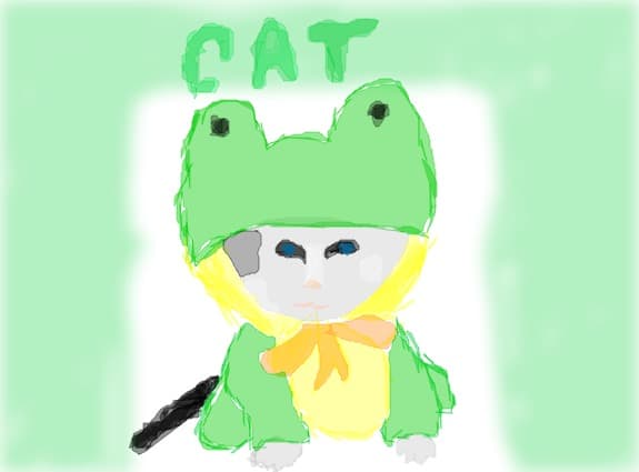 cat