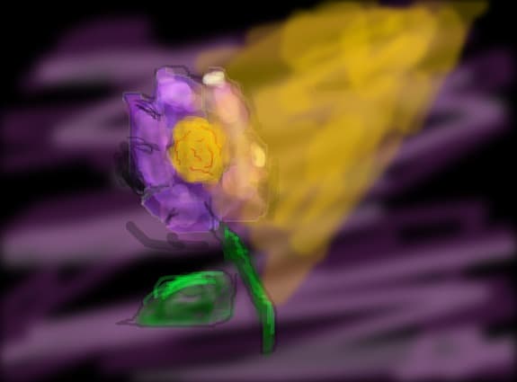 o floricica