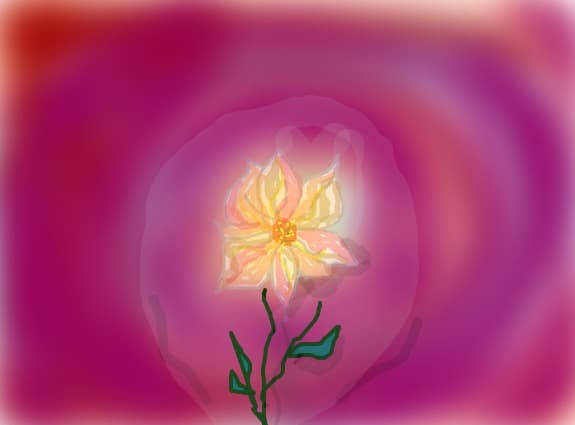 o floare