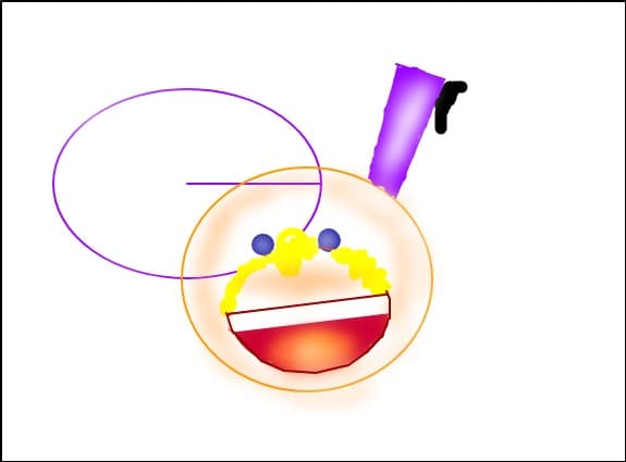 Emoticons