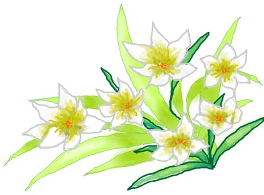 Pale flowers