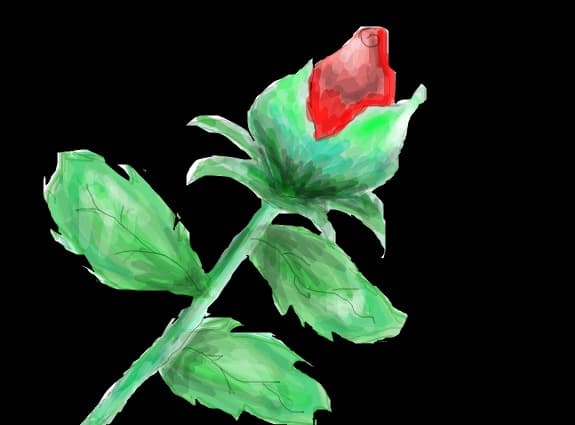 floricica