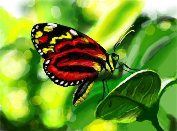 fluturas