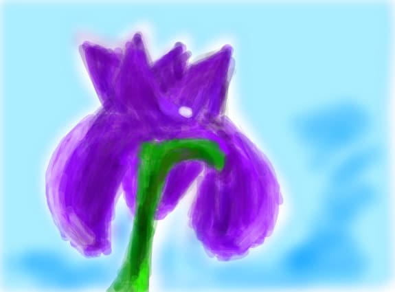 Iris`