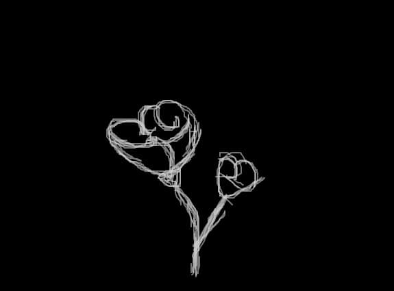 flori