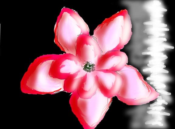 floare roz
