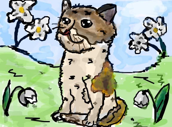 Kitty