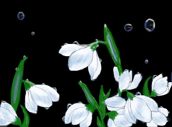 ~~~....Snowdrop...~~~