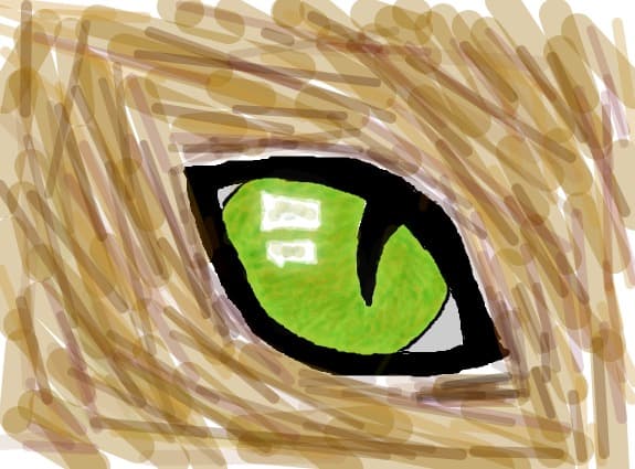 cat eye...