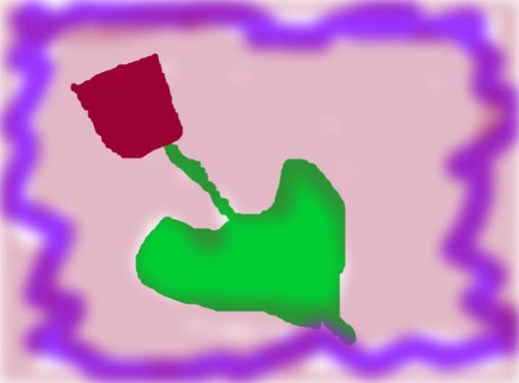 o floare