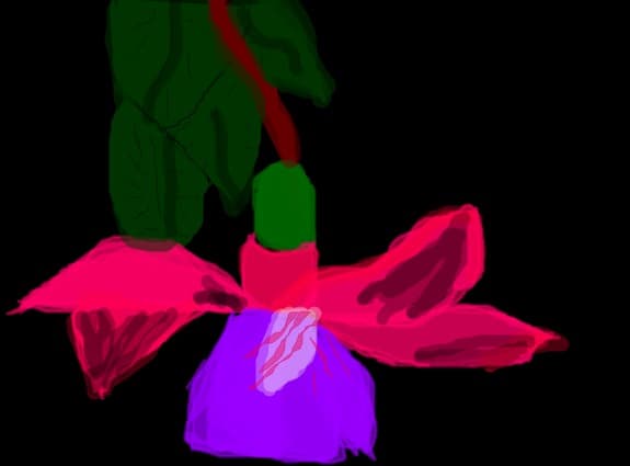 o floricik