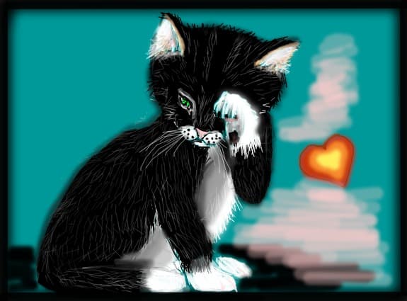 sad kitty
