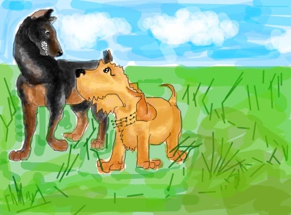 Dogs