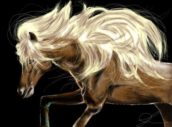 Icelandic Horse