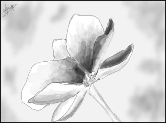 flower