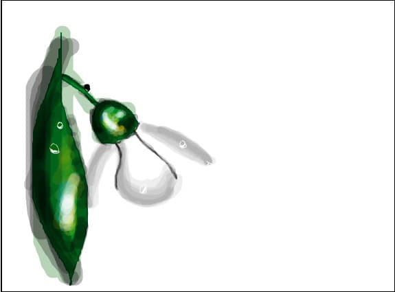 snowdrop