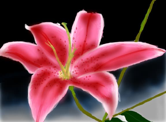 ~~~...flower...~~~