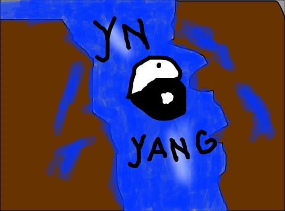 ivvorul yn yang