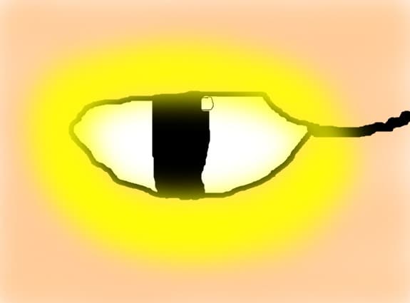 eye